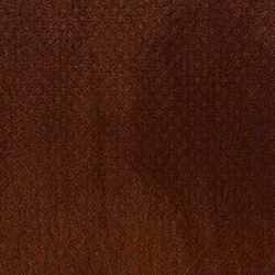 Coffee Roast - Square Texture