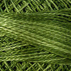 Morning Grass - fresh grass greens