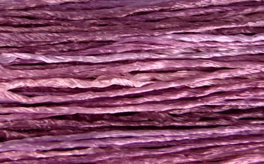 Iris Petals